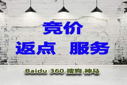 SEM广告的精准定向技巧与成功案例解析
